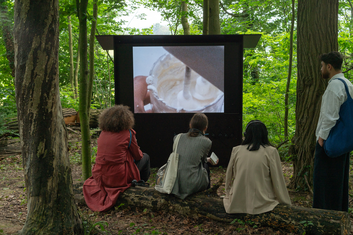 three people sit on a log and one person stands in a forest as they look at a screen.